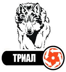 logo wolf133